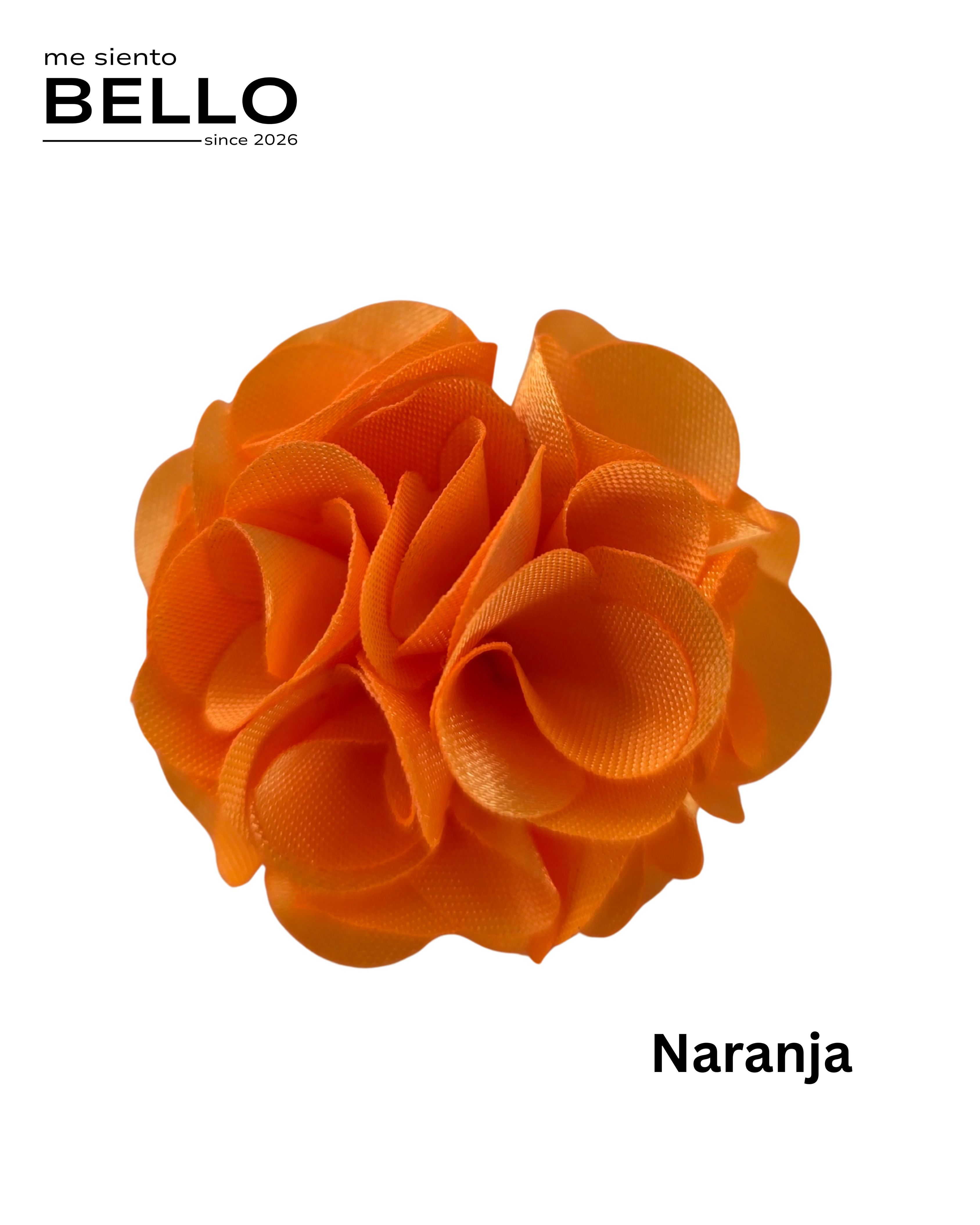 BELLO - FLOR CABALLERO