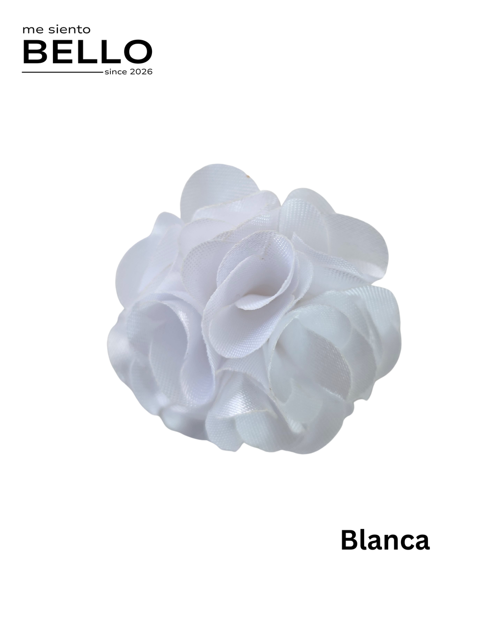 BELLO - FLOR CABALLERO