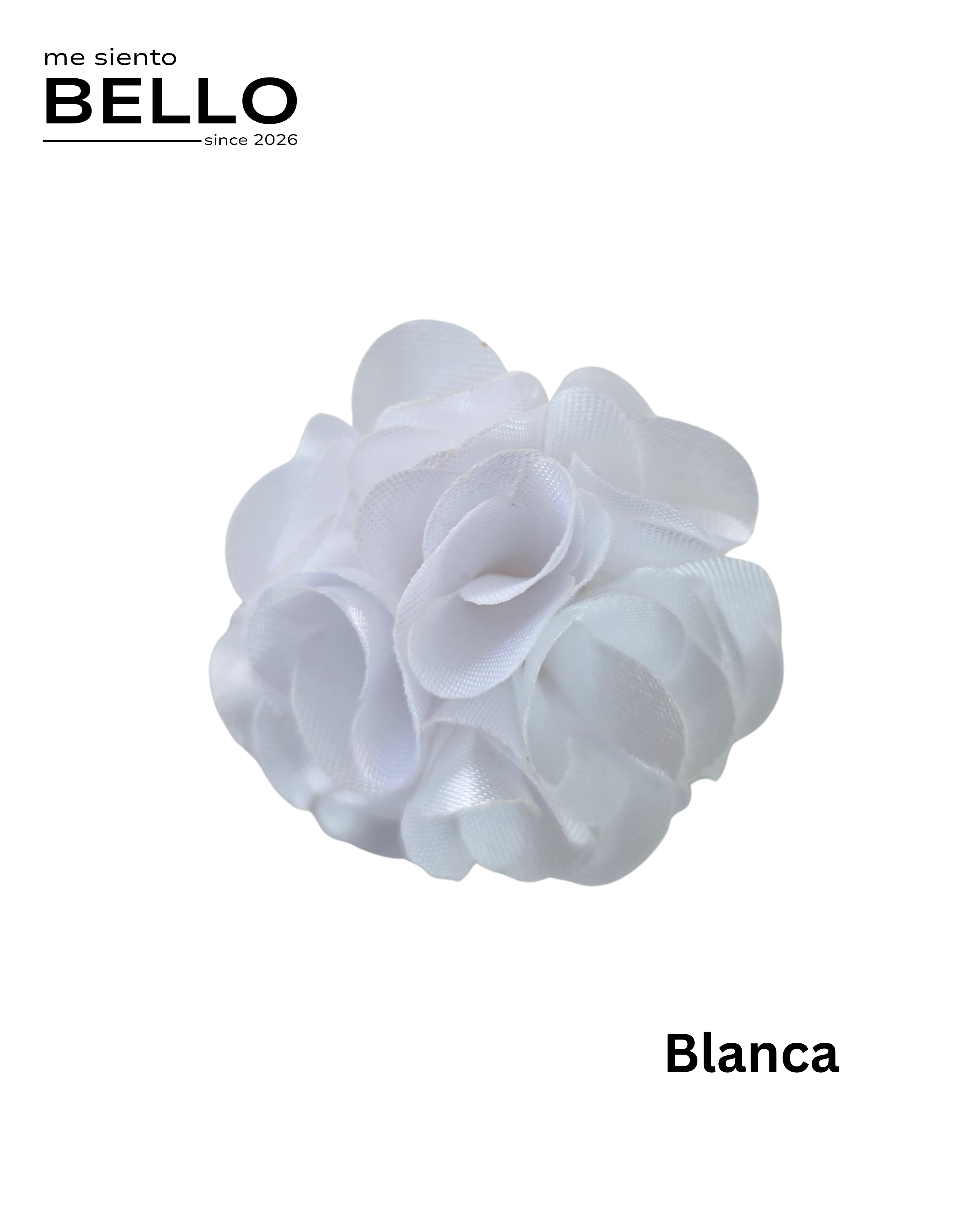 BELLO - FLOR CABALLERO