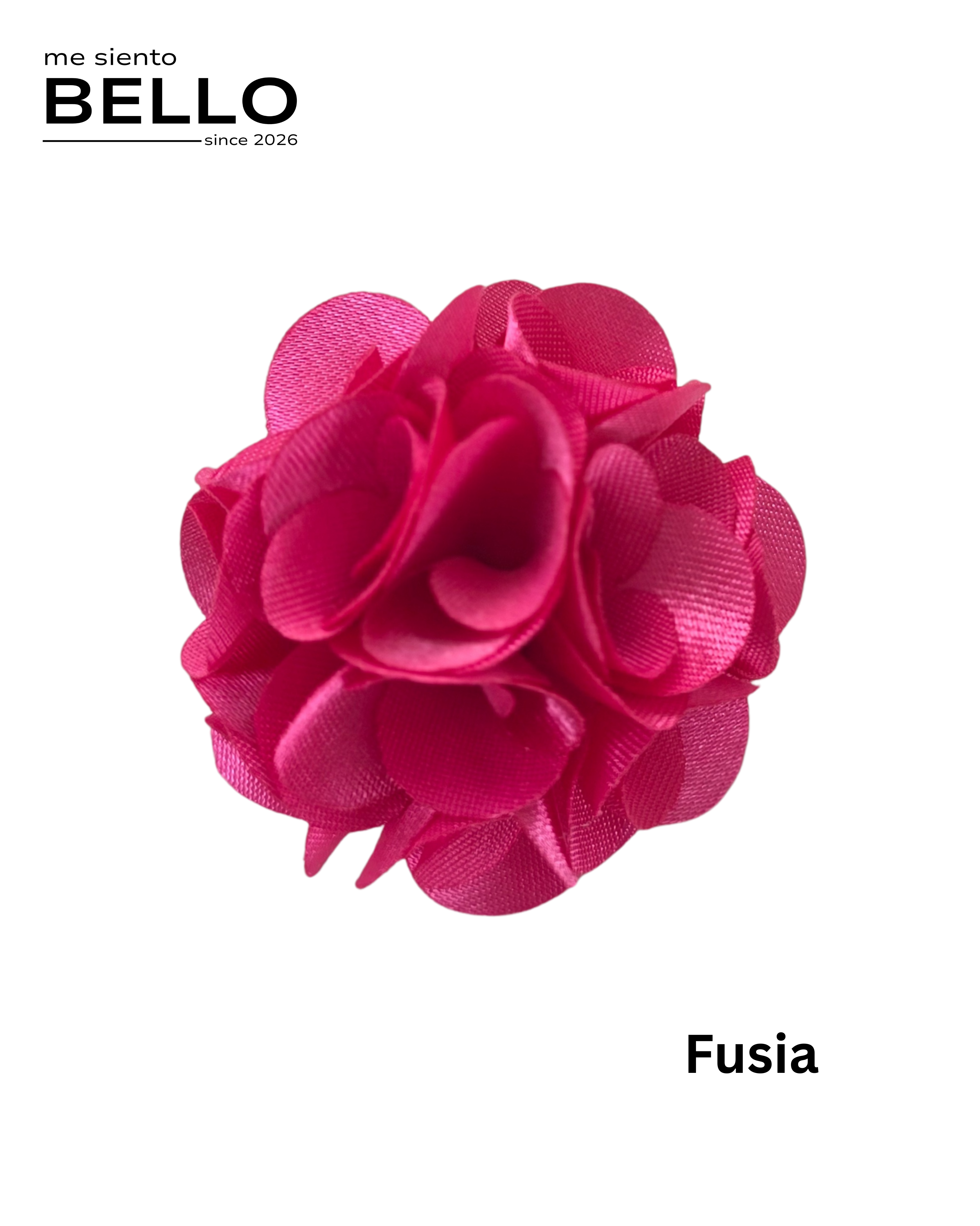 BELLO - FLOR CABALLERO