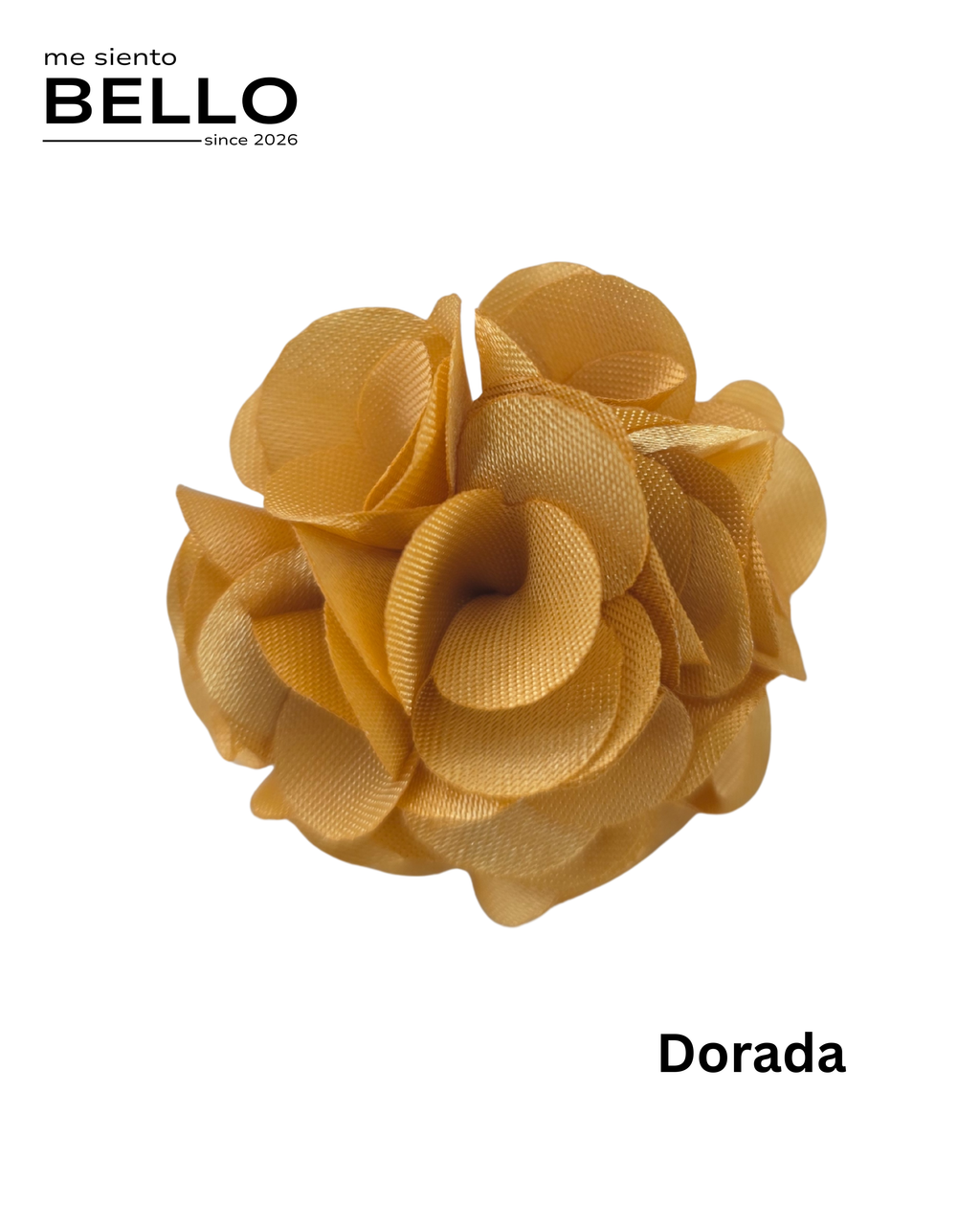 BELLO - FLOR CABALLERO