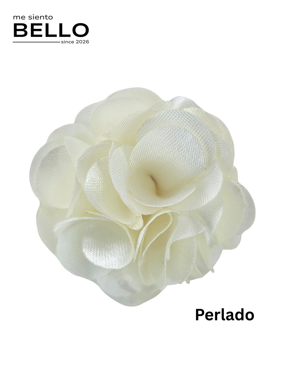 BELLO - FLOR CABALLERO
